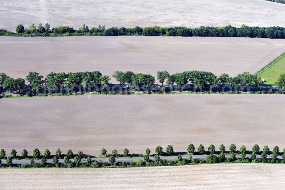 Aerial image Werneuchen - View of field in Werneuchen in the state Brandenburg