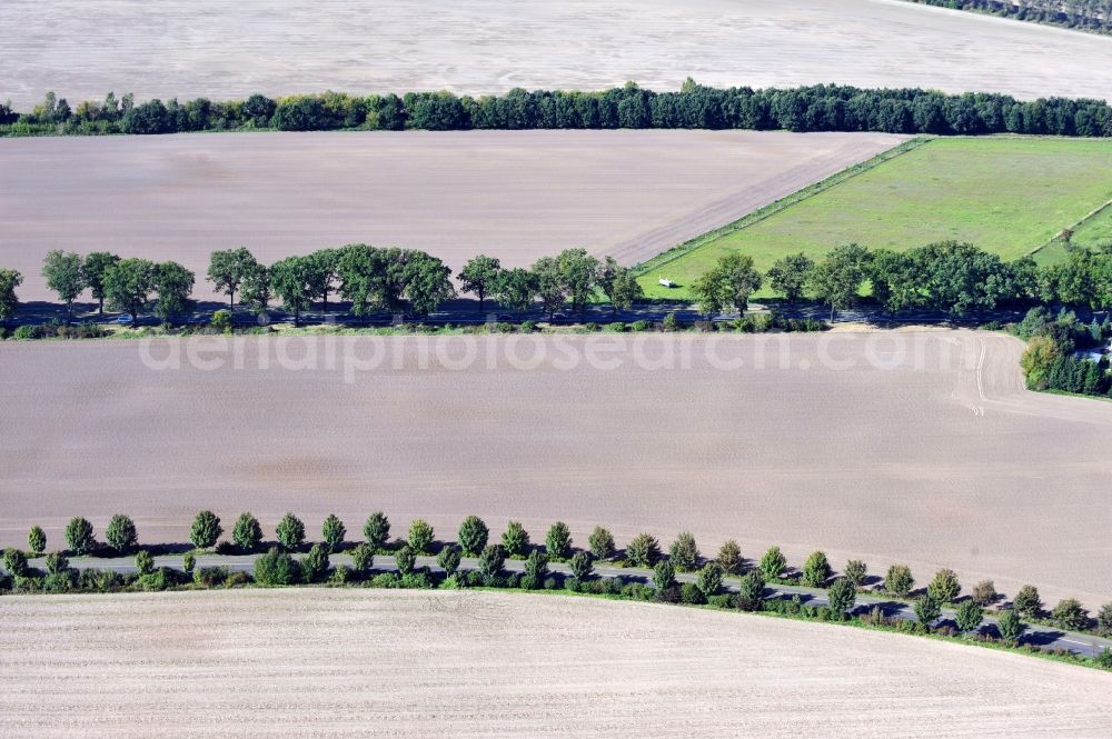 Aerial photograph Werneuchen - View of field in Werneuchen in the state Brandenburg