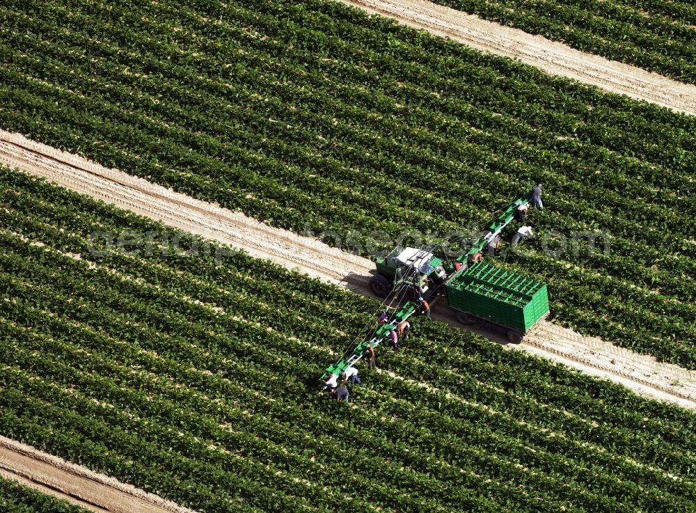 Aerial image Würzburg - Field work and agriculture in the economic region of Würzburg in Lower Franconia in the state of Bavaria. In the urban area as well as the surrounding region there is a variety of agricultural fields and areas. It is an important economy of the region