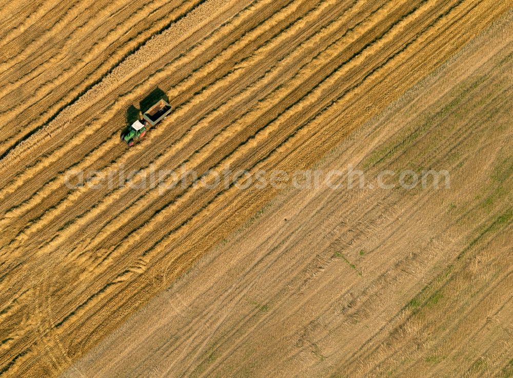 Aerial photograph Andernach - View of field work near Andernach in the state Rhineland-Palatinate