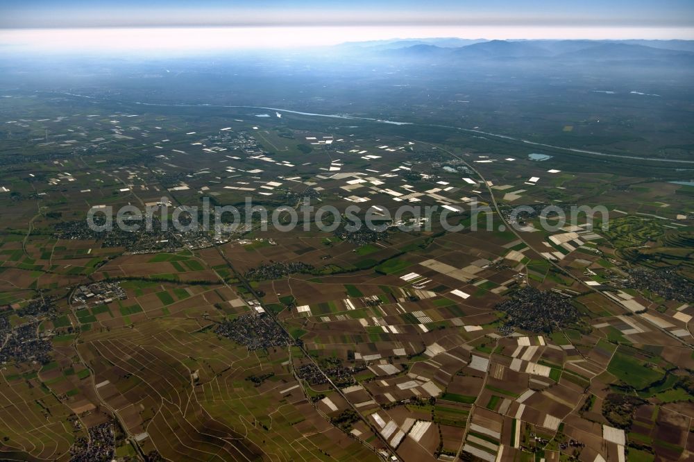 Bad Krozingen from the bird's eye view: Agricultural fields with adjacent forest and forest areas in Bad Krozingen in the state Baden-Wuerttemberg, Germany