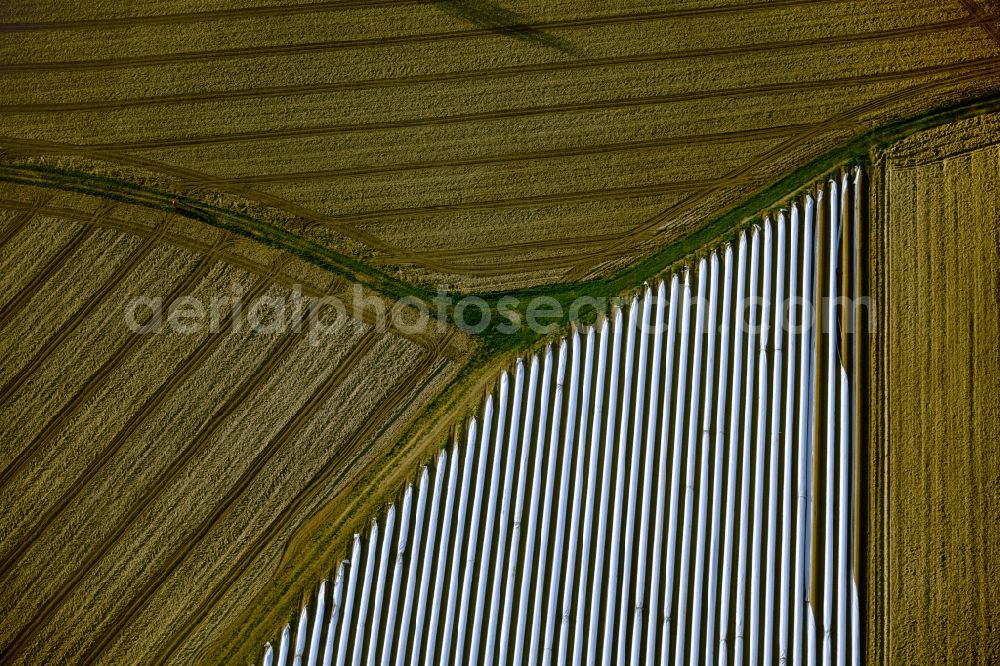 Aerial photograph Friedrichshafen - Agricultural fields with adjacent forest and forest areas bei Ailingen in Friedrichshafen in the state Baden-Wuerttemberg, Germany