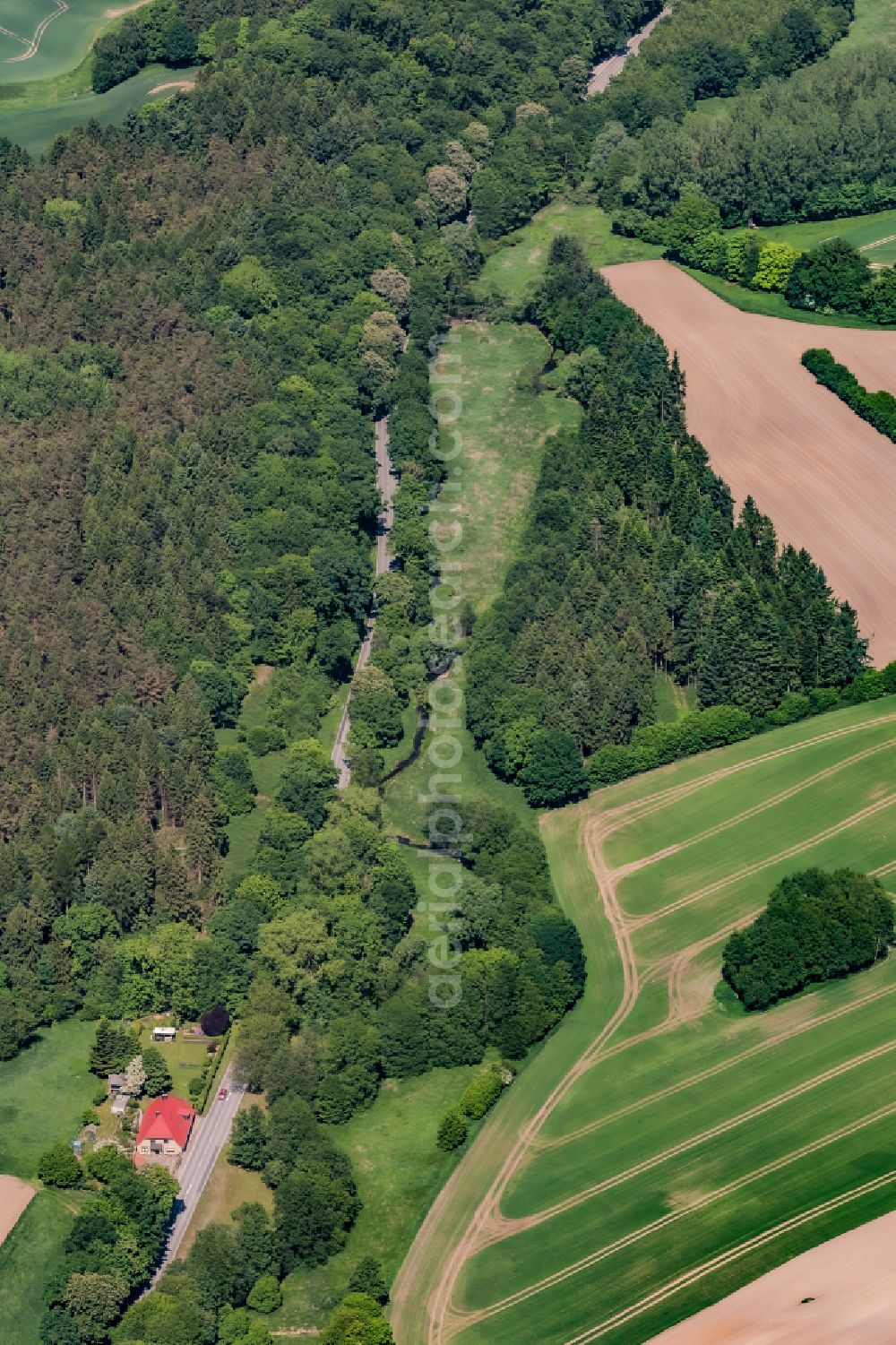 Giekau from above - Agricultural fields with adjacent forest and forest areas on street Luetjenburger Strasse in Giekau in the state Schleswig-Holstein, Germany