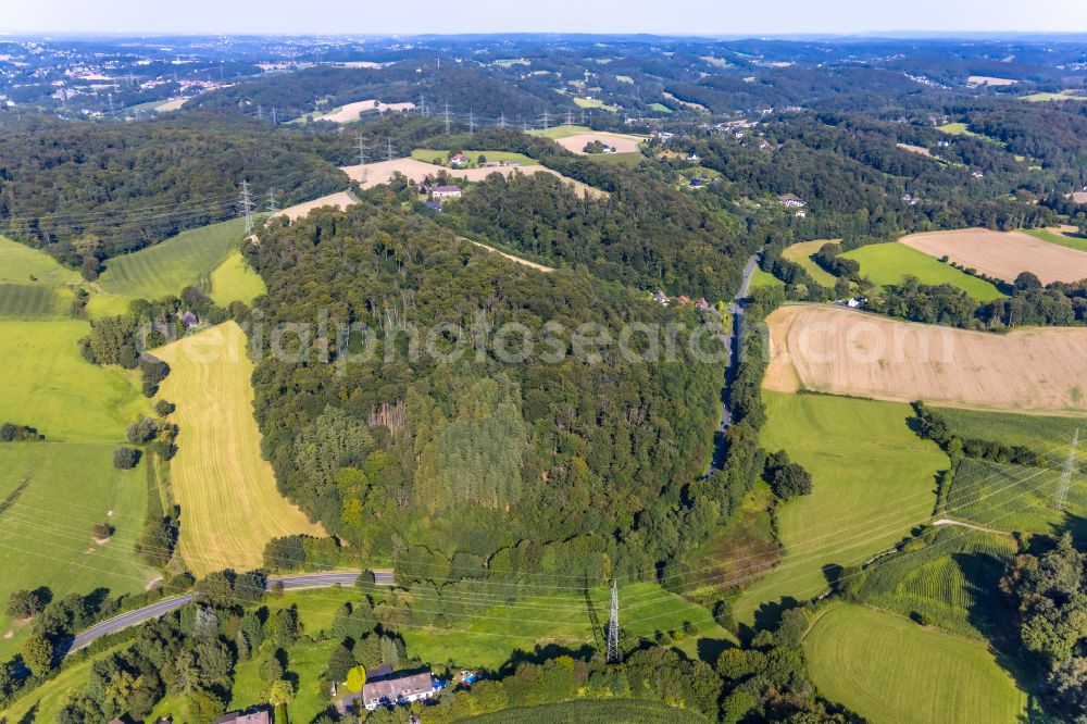 Hattingen from the bird's eye view: agricultural fields with adjacent forest and forest areas on street Wodantal in the district Oberbredenscheid in Hattingen at Ruhrgebiet in the state North Rhine-Westphalia, Germany