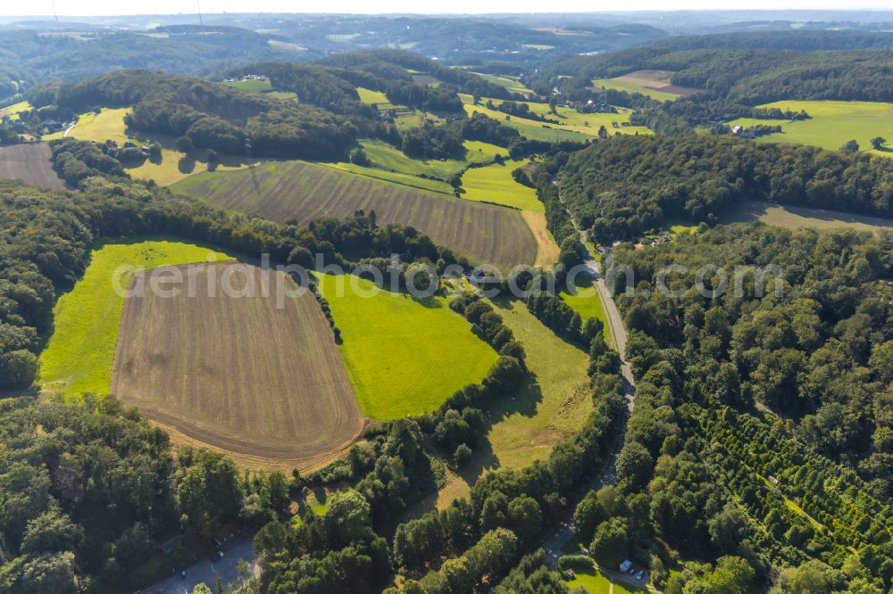 Aerial image Hattingen - agricultural fields with adjacent forest and forest areas on street Wodantal in the district Oberbredenscheid in Hattingen at Ruhrgebiet in the state North Rhine-Westphalia, Germany