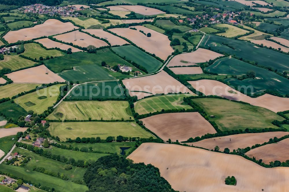 Aerial image Klamp - Agricultural fields with adjacent forest and forest areas in Klamp in the state Schleswig-Holstein, Germany