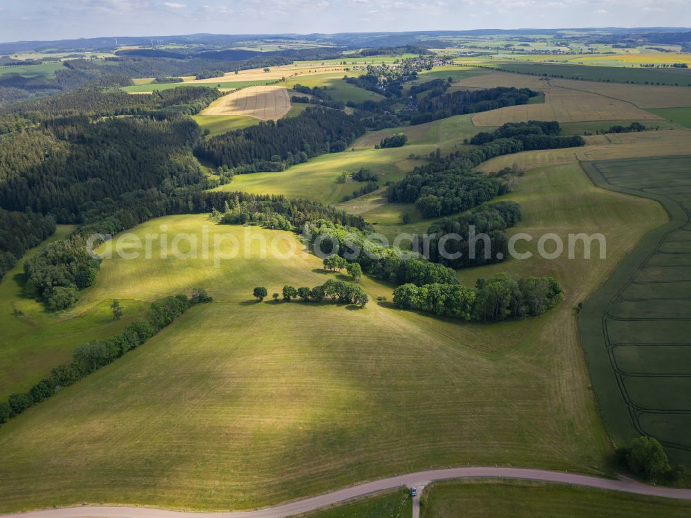 Aerial photograph Klingenberg - Agricultural fields with adjacent forest and forest areas in Klingenberg in the state Saxony, Germany