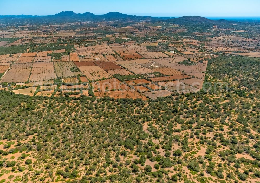 Aerial photograph Santanyi - Agricultural fields with adjacent forest and forest areas in Santanyi in Balearic islands, Spain