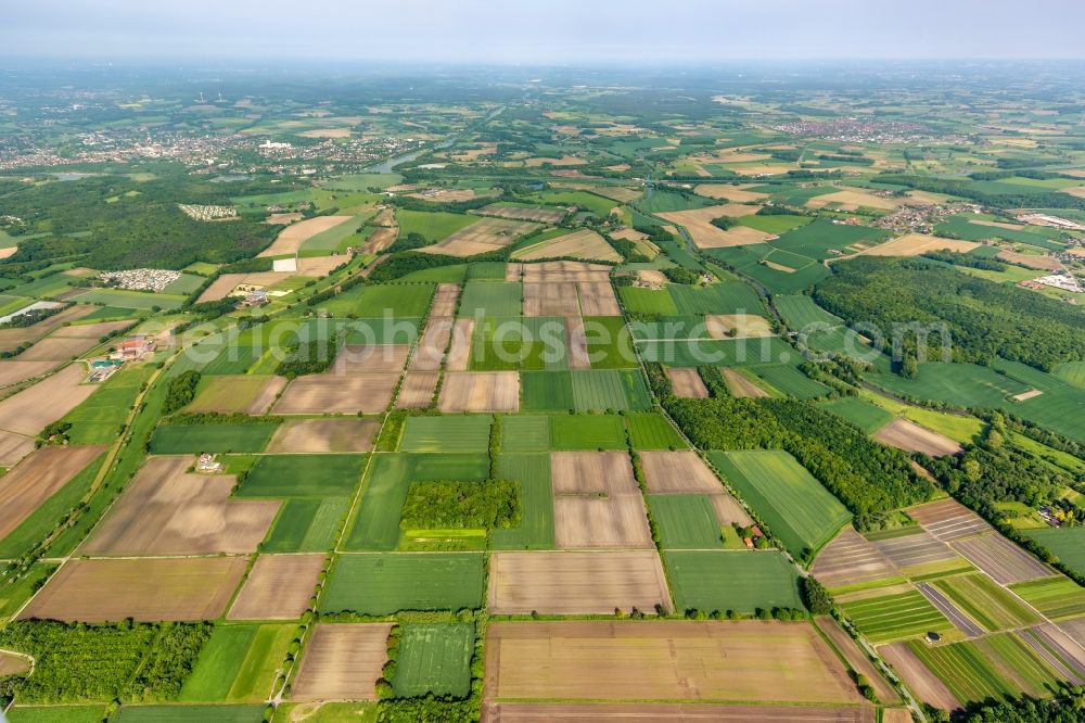 Aerial image Datteln - Felder auf dem Areal Newpark nordöstlich der Stadt Datteln im Bundesland Nordrhein-Westfalen. Fields on the area of Newpark northeastern of the city Datteln in North Rhine-Westphalia.