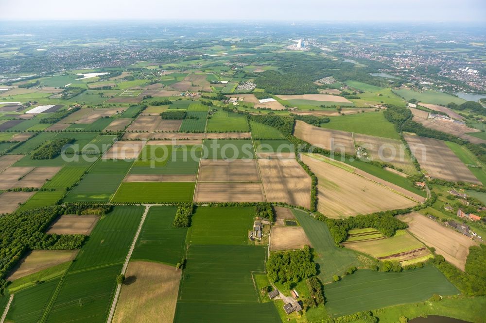 Datteln from the bird's eye view: Felder auf dem Areal Newpark nordöstlich der Stadt Datteln im Bundesland Nordrhein-Westfalen. Fields on the area of Newpark northeastern of the city Datteln in North Rhine-Westphalia.