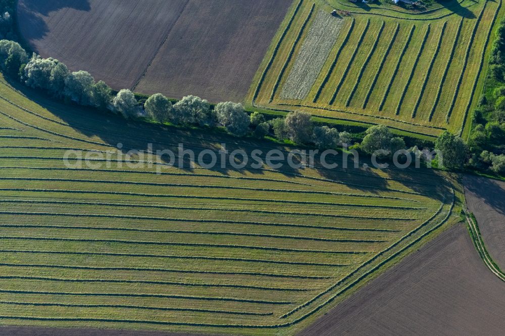 Aerial image Bermatingen - Agricultural fields with adjacent forest and forest areas in Bermatingen in the state Baden-Wuerttemberg, Germany