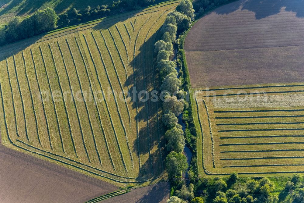 Aerial photograph Bermatingen - Agricultural fields with adjacent forest and forest areas in Bermatingen in the state Baden-Wuerttemberg, Germany