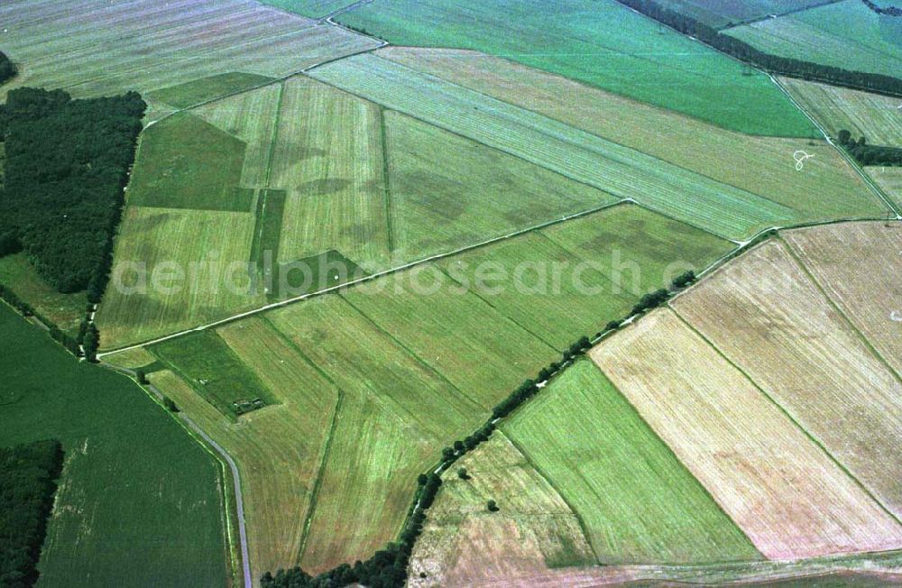 Aerial image Mahlow / Brandenburg - Felder bei Mahlow in Brandenburg