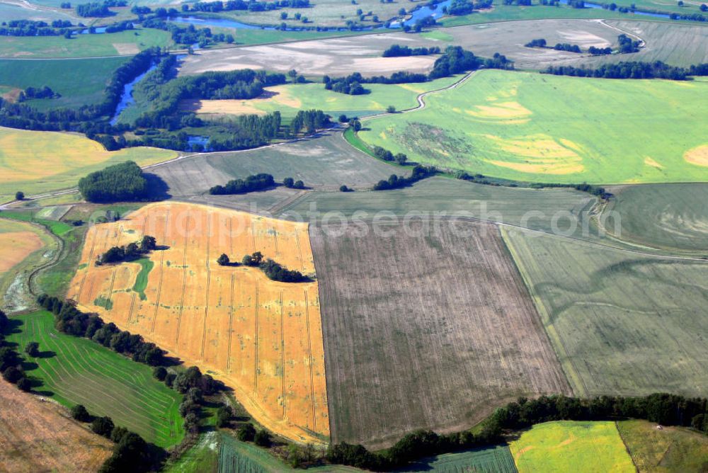 Roitzschjora from the bird's eye view: Landschaft / Feld / Felder / Kornfeld, Wald und Wiesen bei Roitzschjora.