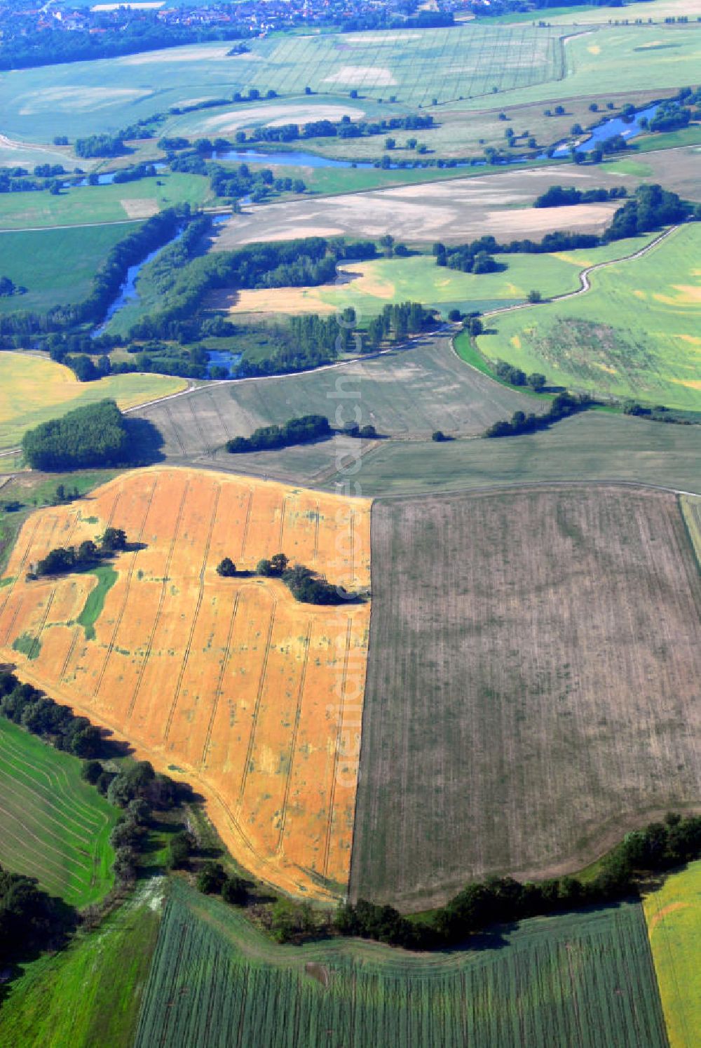 Aerial image Roitzschjora - Landschaft / Feld / Felder / Kornfeld, Wald und Wiesen bei Roitzschjora.