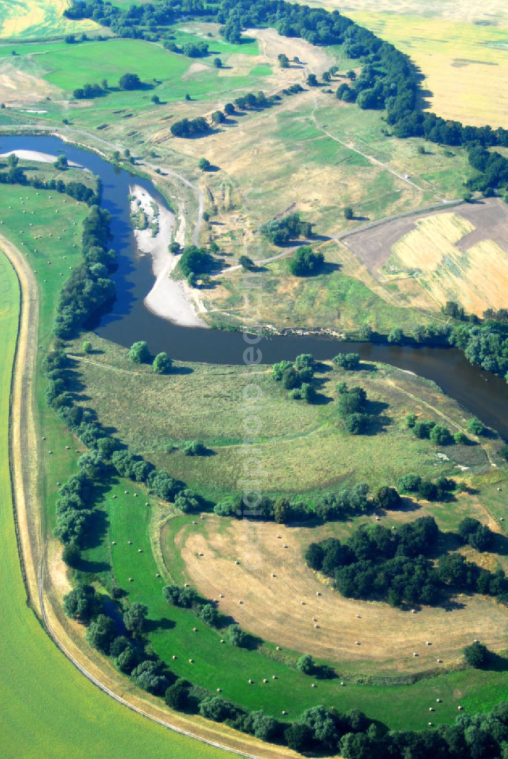 Roitzschjora from the bird's eye view: Landschaft / Feld / Felder / Kornfeld, Wald und Wiesen bei Roitzschjora.