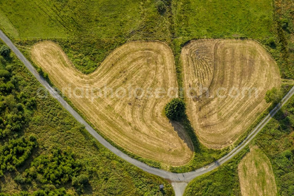 Aerial image Winterberg - Scythed and rounded field on a crossroads in the vicinity of Winterberg in the state North Rhine-Westphalia