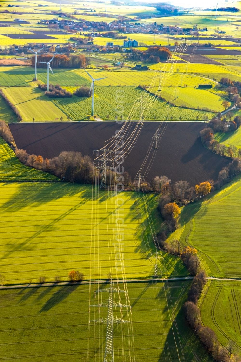 Aerial photograph Eineckerholsen - Agricultural land and fields in Eineckerholsen at Ruhrgebiet in the state North Rhine-Westphalia, Germany