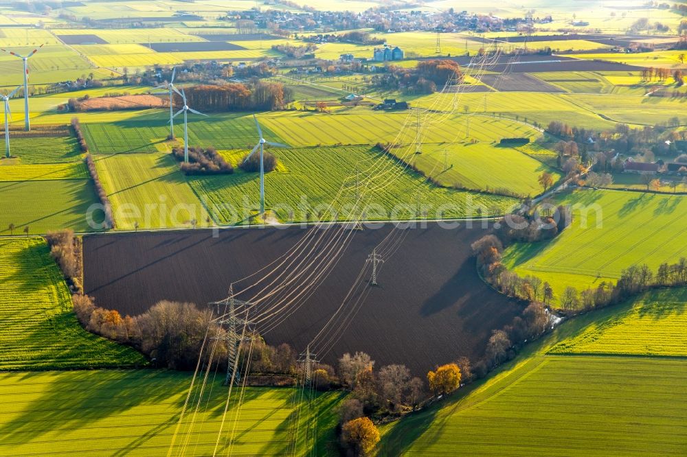 Eineckerholsen from above - Agricultural land and fields in Eineckerholsen at Ruhrgebiet in the state North Rhine-Westphalia, Germany