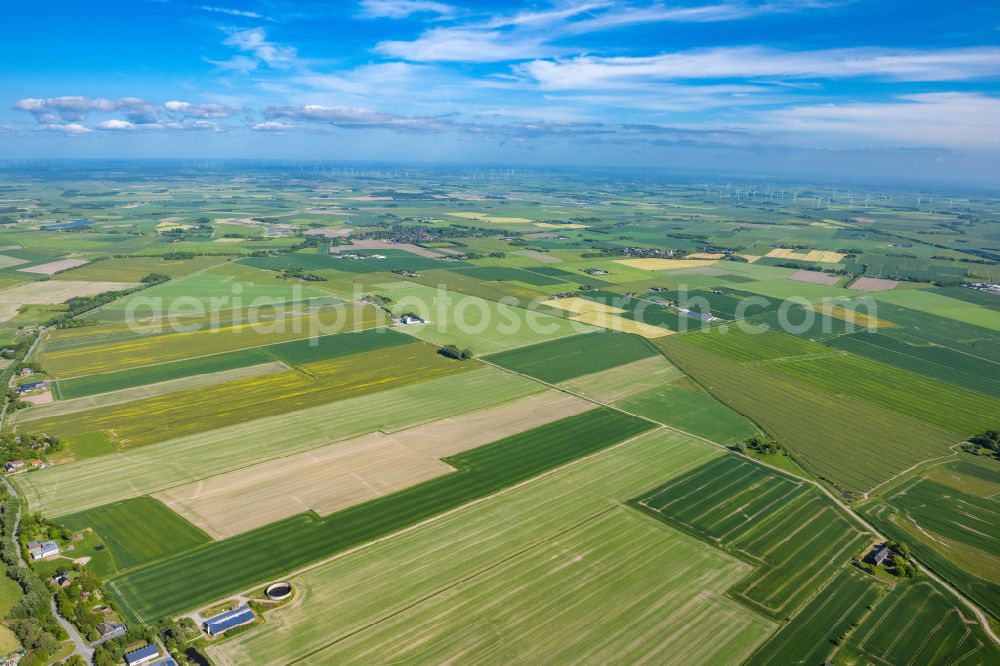 Aerial image Rodenäs - Landscape of predominantly agricultural fields in Rodenaes in the state Schleswig-Holstein, Germany