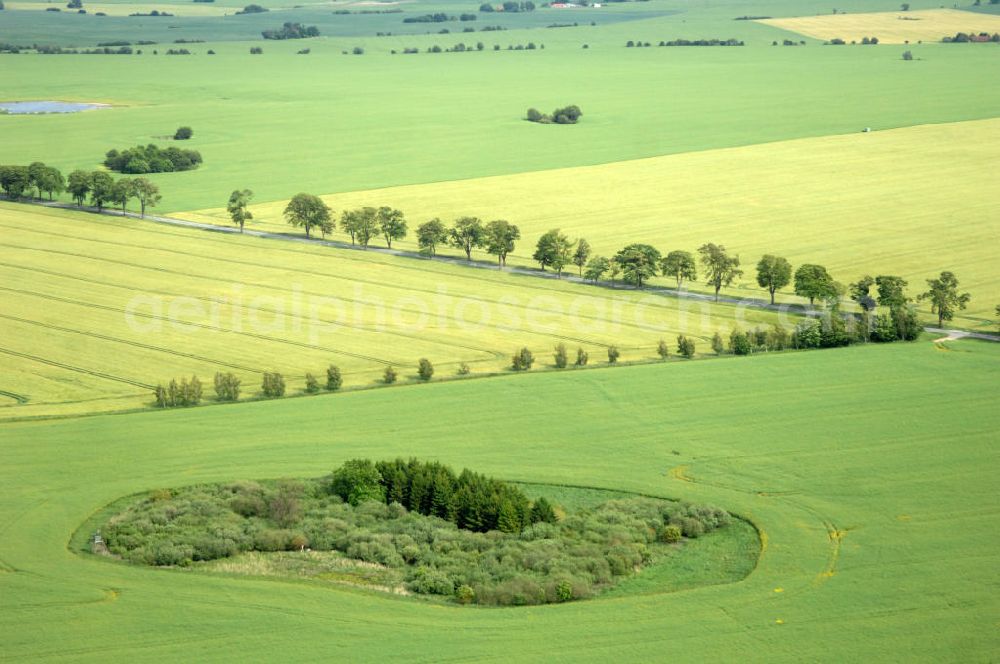 Aerial photograph Poggendorf - Blick auf eine Bauminsel und Felder / Landschaft bei Poggendorf - Mecklenburg-Vorpommern MV. View of a tree isle / island and fields / landscape near Poggendorf - Mecklenburg-Western Pomerania.