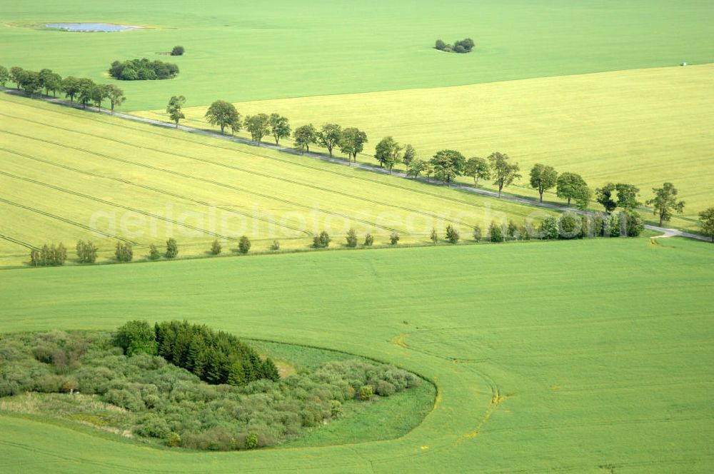 Poggendorf from above - Blick auf eine Bauminsel und Felder / Landschaft bei Poggendorf - Mecklenburg-Vorpommern MV. View of a tree isle / island and fields / landscape near Poggendorf - Mecklenburg-Western Pomerania.