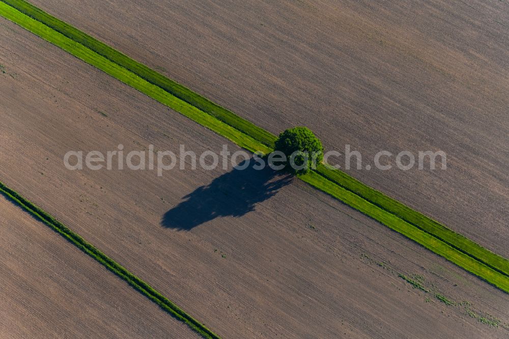 Aerial image Salem - Agricultural fields with adjacent forest and forest areas in Salem in the state Baden-Wuerttemberg, Germany