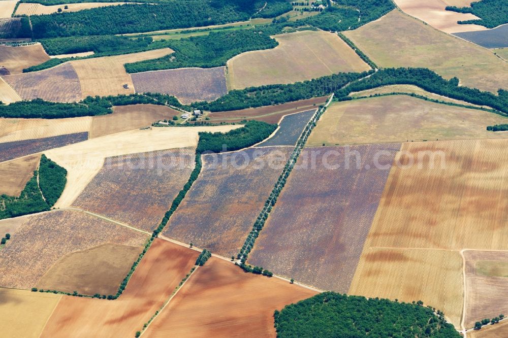 Puimoisson from above - Fields of a lavender plantage on a field in Puimoisson in Provence-Alpes-Cote d'Azur, France