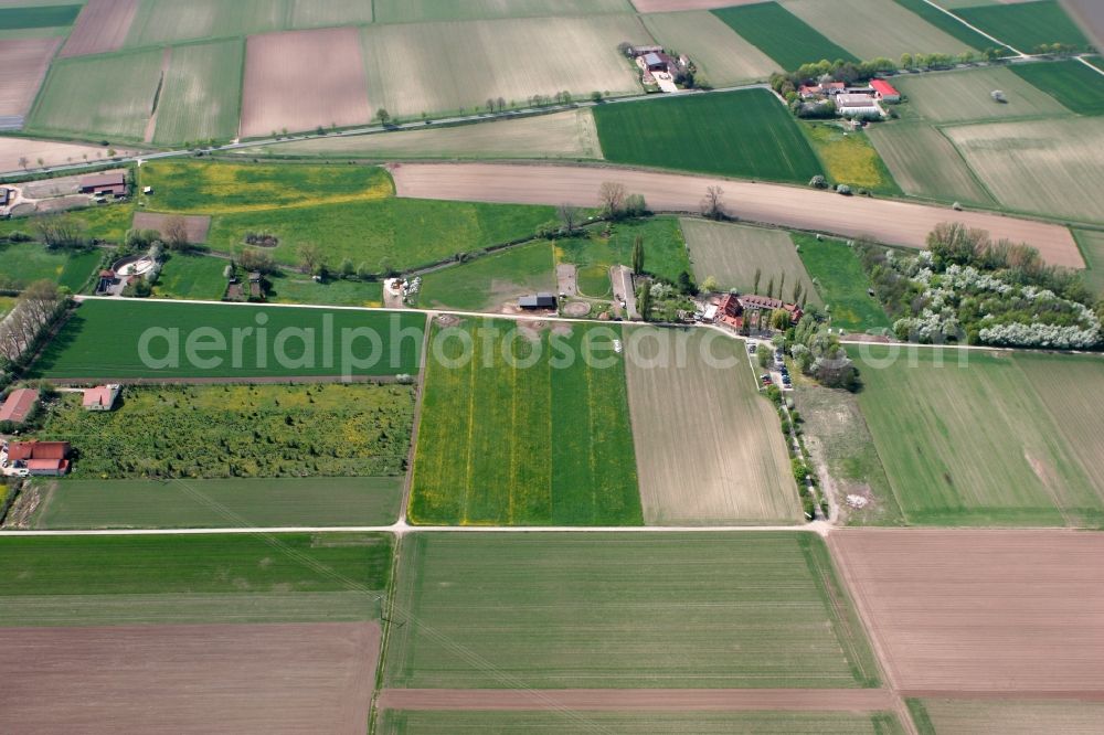 Aerial image Köngernheim - Fields in the area of Koengernheim in the state of Rhineland-Palatinate. Koengernheim is a borough in the Mainz-Bingen and is surrounded by agricultural fields. The wine town is located on the river Selz