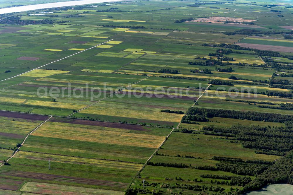 Aerial photograph Sandstedt - Agricultural fields in Sandstedt in the state Lower Saxony, Germany