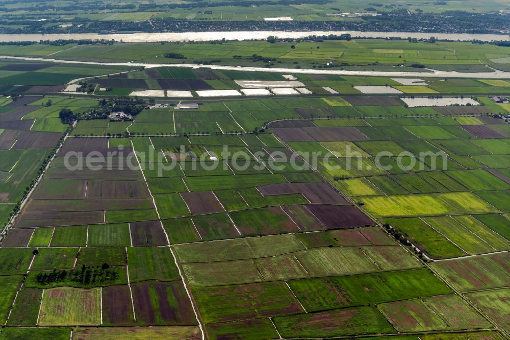 Sandstedt from above - Agricultural fields in Sandstedt in the state Lower Saxony, Germany