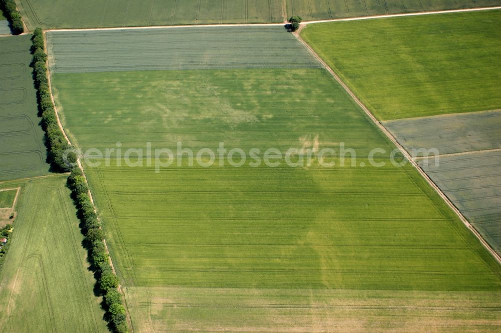 Aerial image Selzen - Green fields with field paths. Fields for agriculture along the highway L425 in waders in the state of Rhineland-Palatinate