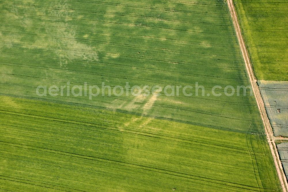 Aerial photograph Selzen - Green fields with field paths. Fields for agriculture along the highway L425 in waders in the state of Rhineland-Palatinate