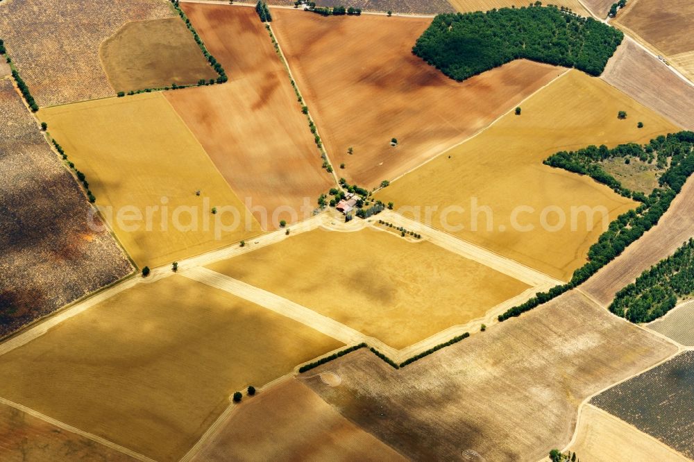 Puimoisson from the bird's eye view: Farm house and fields of a sunflower plantage in Puimoisson in Provence-Alpes-Cote d'Azur, France