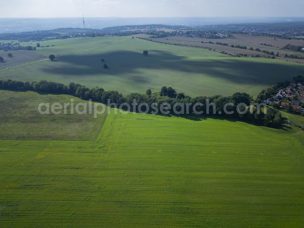 Dresden from above - Fields in the Weissig district of Dresden in the state of Saxony, Germany