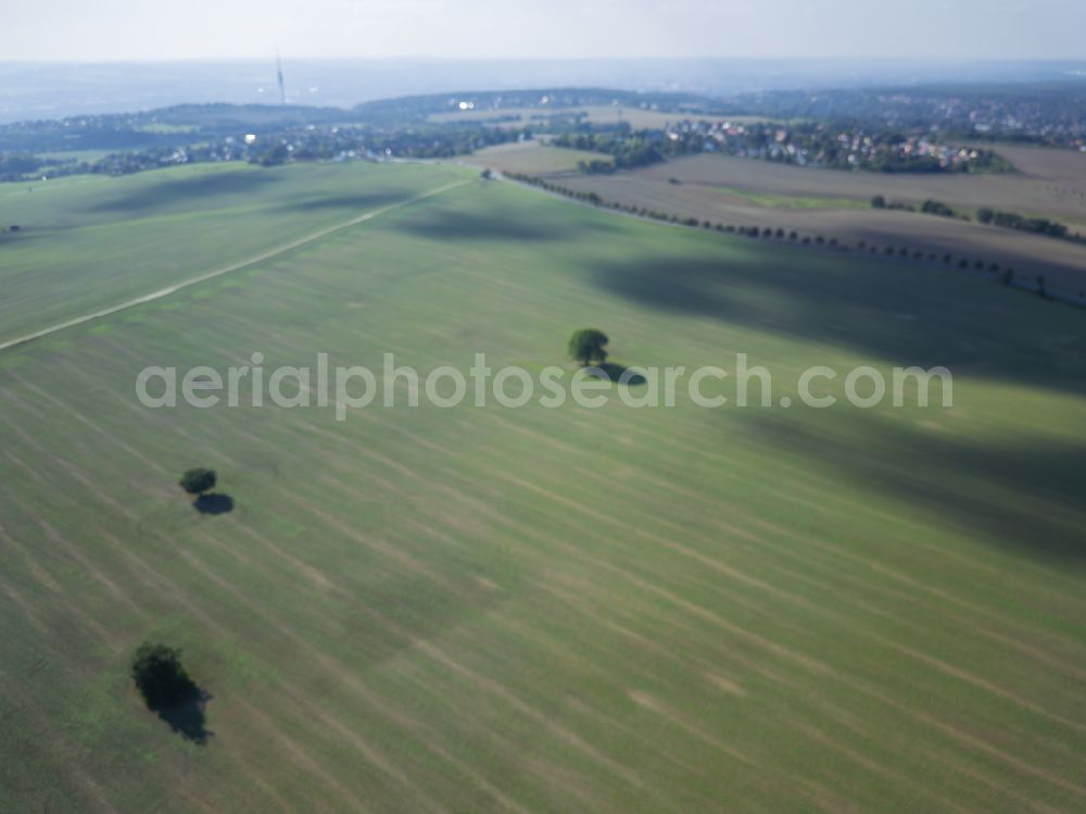 Dresden from the bird's eye view: Fields in the Weissig district of Dresden in the state of Saxony, Germany