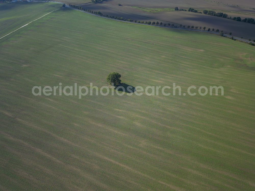 Aerial image Dresden - Fields in the Weissig district of Dresden in the state of Saxony, Germany