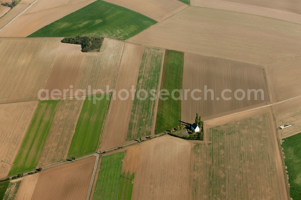 Naunheim from the bird's eye view: Field chapel in Muenstermaifeld Naunheim in Rhineland-Palatinate