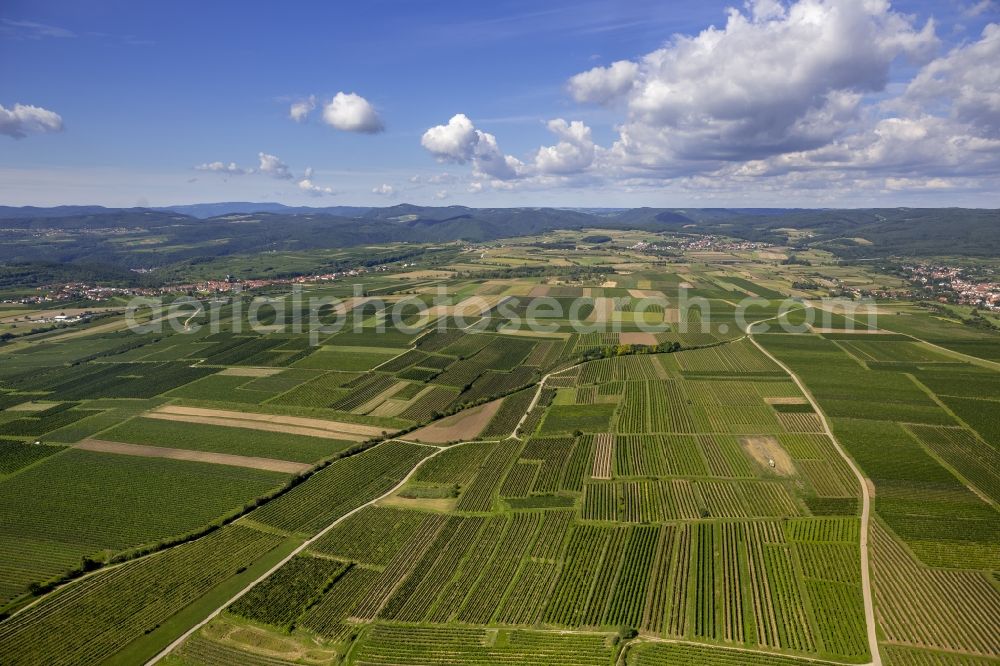 Aerial image Lengenfeld - View of the fields with line pattern near Lengenfeld with blue sky in the state Lower Austria in Austria