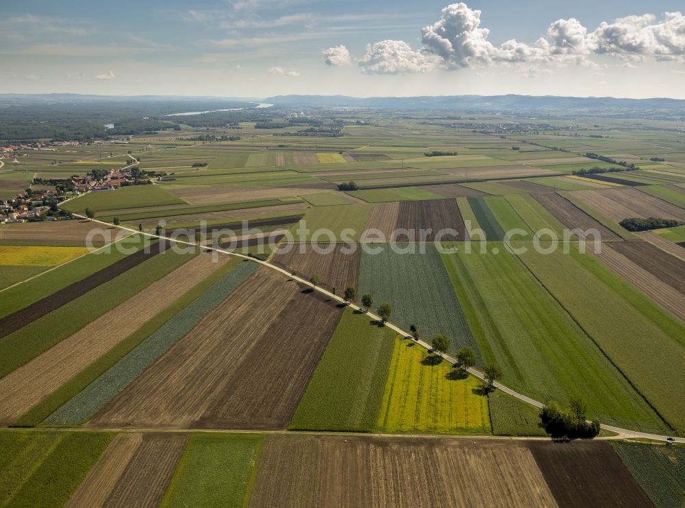 Neusiedl from above - View of the fields with line pattern near Neusiedl with blue sky in the state Lower Austria in Austria