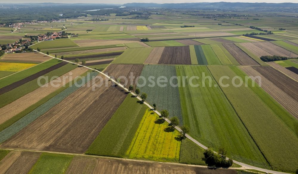 Neusiedl from the bird's eye view: View of the fields with line pattern near Neusiedl with blue sky in the state Lower Austria in Austria