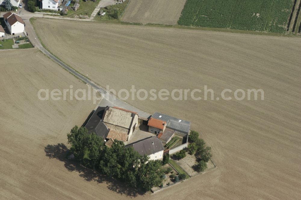 Zotzenheim / VBG Spendlingen-Gen from the bird's eye view: Field landscape with a farmer's homestead in Zotzenheim in Rhineland-Palatinate