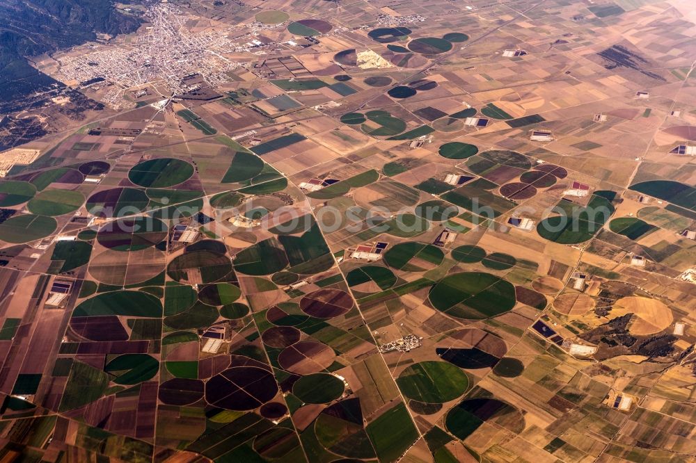 Perote from the bird's eye view: Agricultural fields in Perote in Veracruz, Mexico