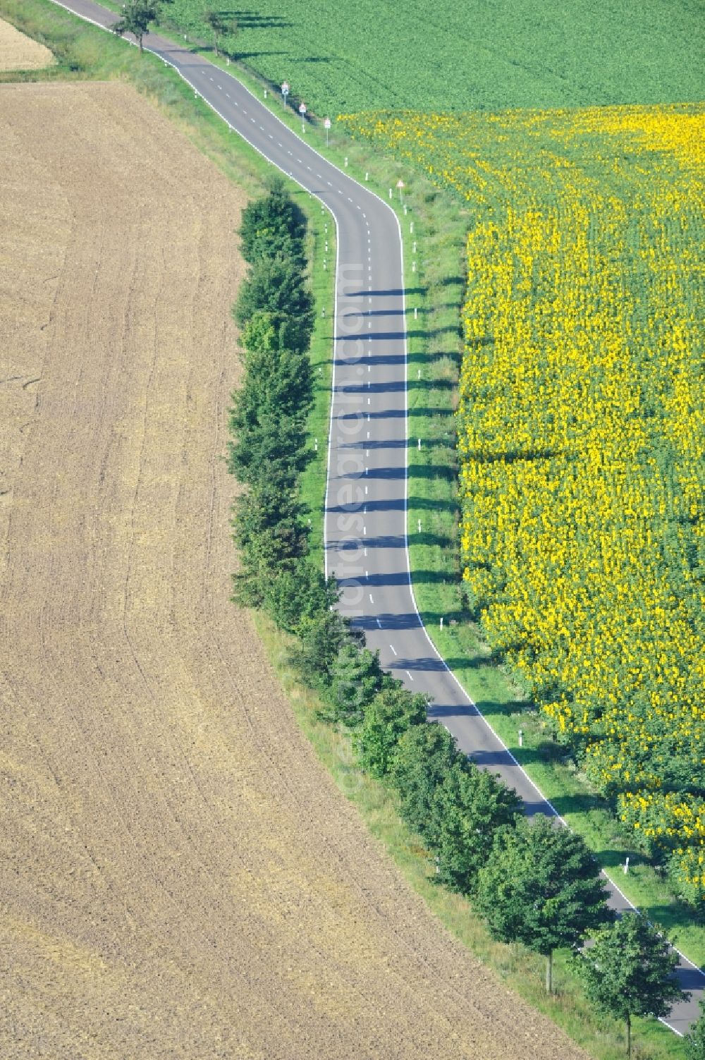 Hirschroda from above - 23/07/2012 Hirschroda field landscape with a field of sunflowers at Hirschroda in the state of Saxony-Anhalt