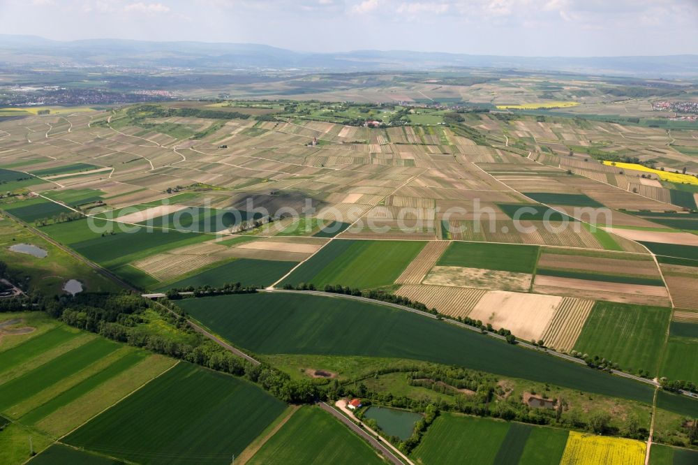 Aerial photograph Wallertheim - Field landscape with different areas of arable land and vineyards in Wallertheim in the state of Rhineland-Palatinate