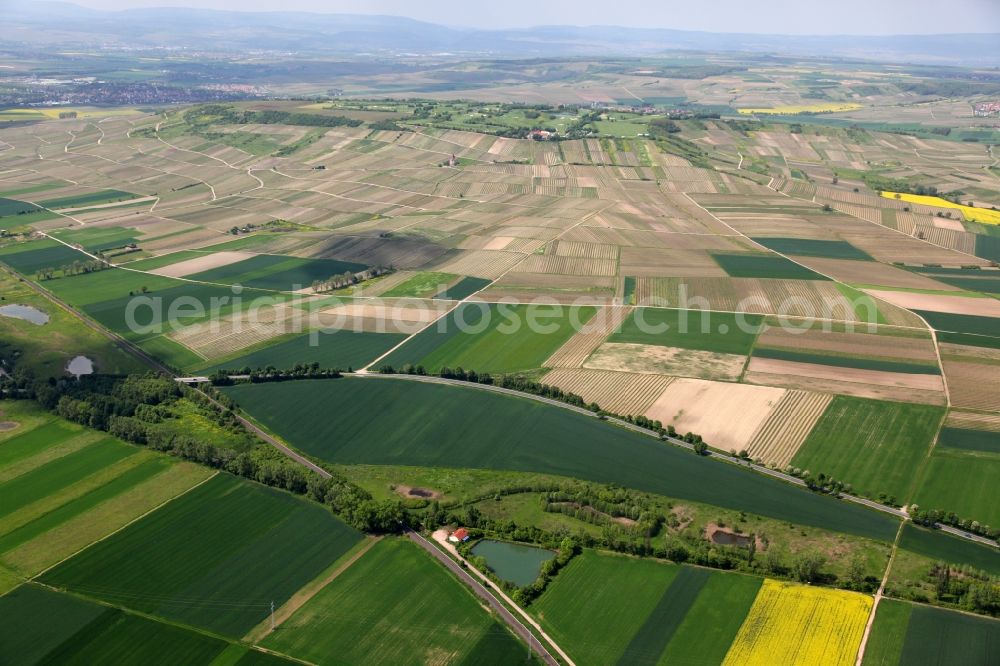 Wallertheim from above - Field landscape with different areas of arable land and vineyards in Wallertheim in the state of Rhineland-Palatinate