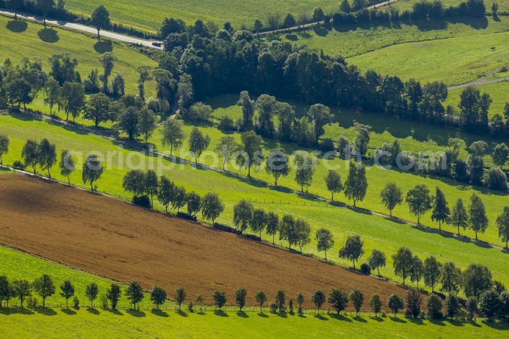 Aerial image Schmallenberg - Field landscape with meadows and tree rows in Schmallenberg in North Rhine-Westphalia