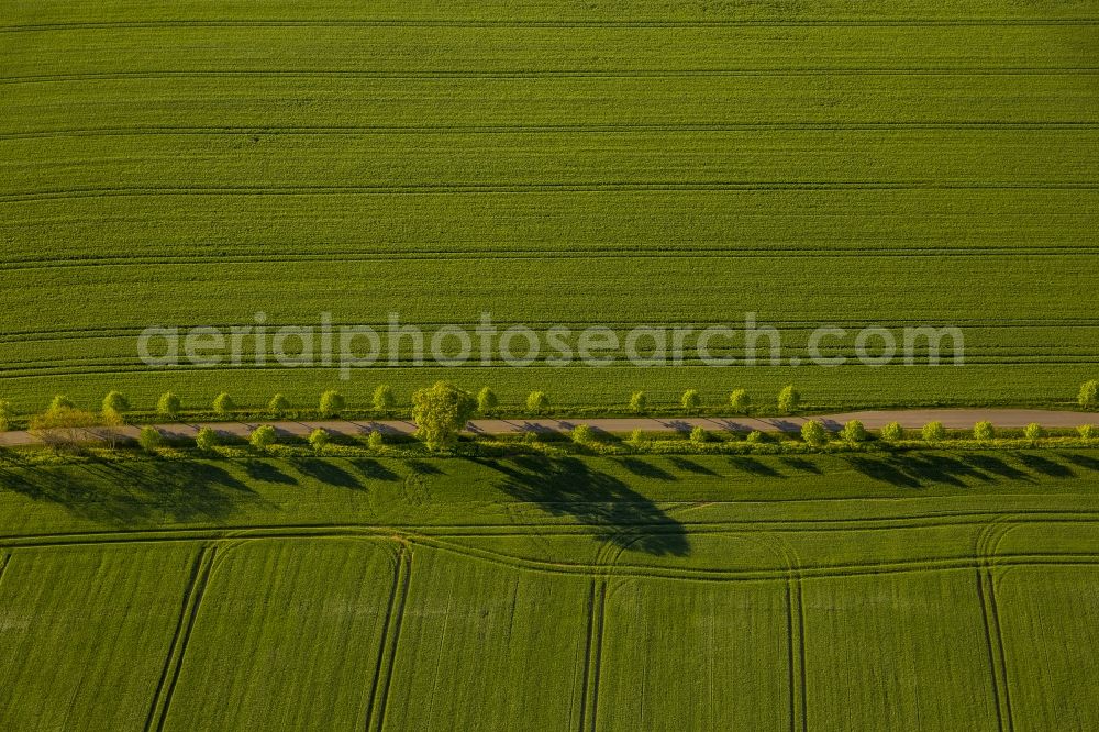 Aerial image Groß Roge - Colona field with road in Gross Roge in the state of Mecklenburg-Western Pomerania