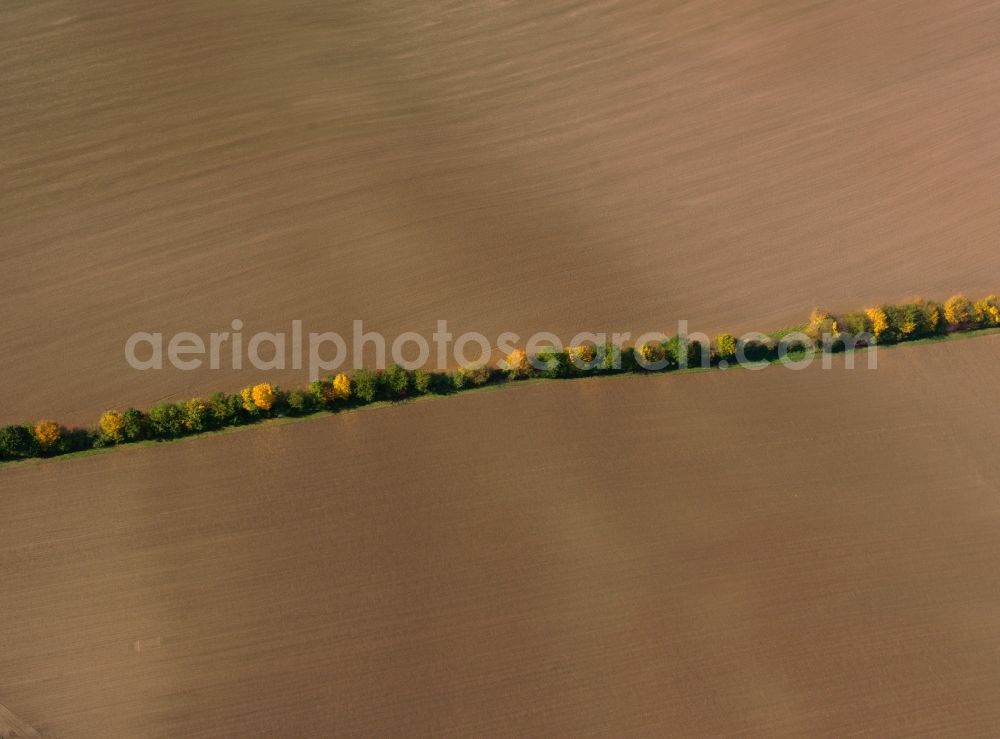 Goslar from the bird's eye view: Landscape structures of harvested fields with rows of trees near Goslar in Lower Saxony