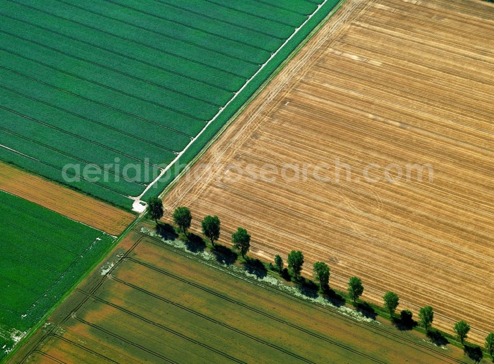 Aerial image Goslar - Landscape structures of harvested fields with rows of trees near Goslar in Lower Saxony